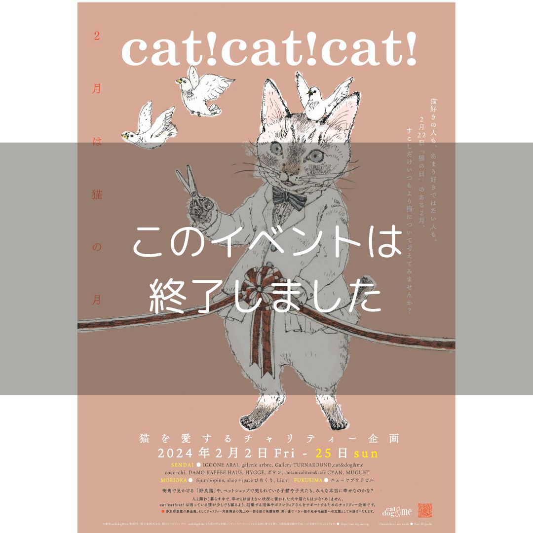 cat!cat!cat! 2024】2/2-2/25 – IGOONE ARAI